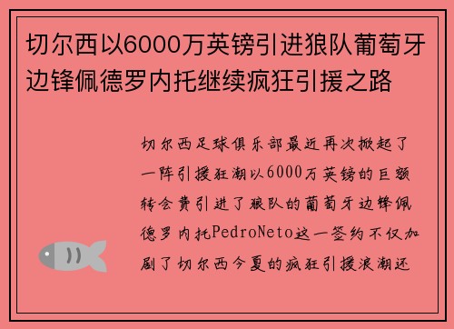 切尔西以6000万英镑引进狼队葡萄牙边锋佩德罗内托继续疯狂引援之路 切尔西以6000万英镑引进狼队葡萄牙边锋佩德罗内托继续疯狂引援之路